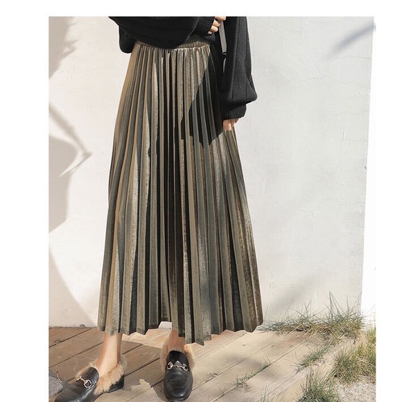 Velvet Pleated Skirt - Picture 5 of 9